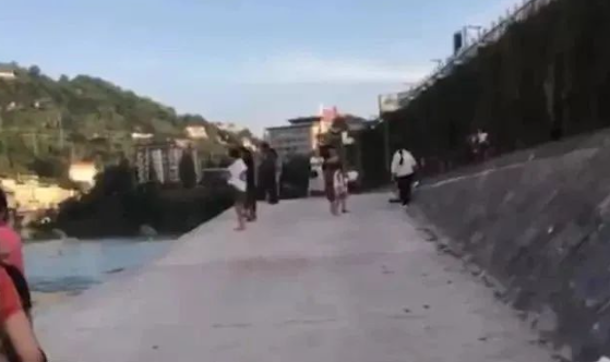 悲剧！湖北一男子为救宠物狗不慎溺水，狗狗水中苦寻失踪一天主人
