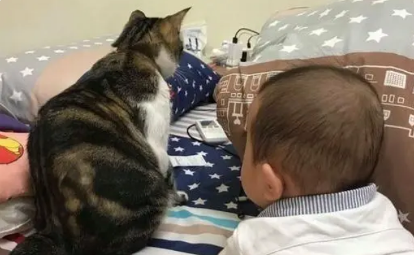 爷爷摸着猫咪的头叮嘱，猫咪嫌弃的翻白眼：到底说完没有