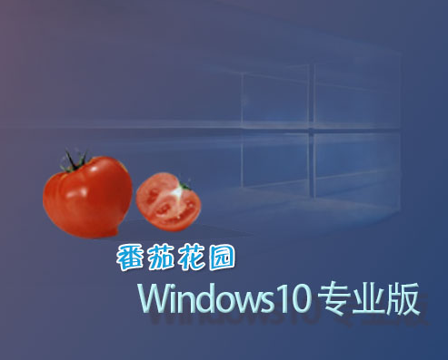 番茄花园win10系统_番茄花园win7安装步骤_番茄花园win8系统下载