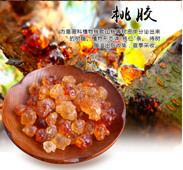 桃胶的简介