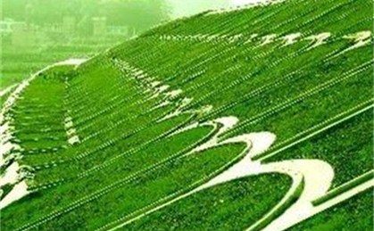 磁盘分区后重启进不了_分区时候重启 d盘坏了_分区重启后开不了机