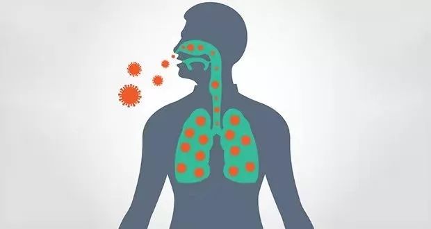 呼吸道合胞病毒感染会传染吗_呼吸道合胞体病毒感染_呼吸道合胞病毒感染