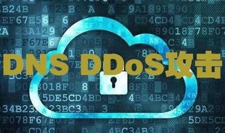 如何劫持路由器dns_架设dns劫持服务器_路由器劫持dns架设教程