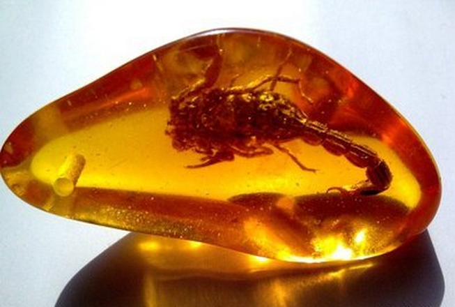 路口监控去哪里调取_石岩红绿灯摄像头_石大路红荔路口监控