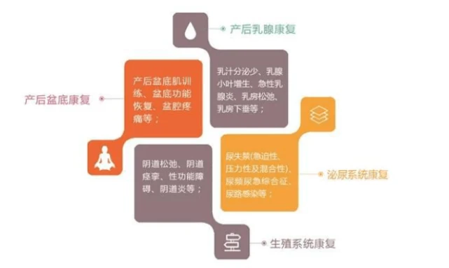 肛门失禁病因_肛门病因失禁症状_引起肛门失禁的原因