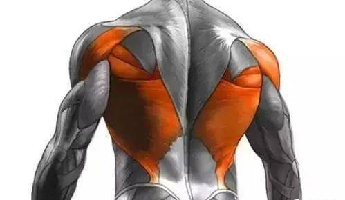 后背疼痛呼吸胸闷气短_后背疼痛呼吸不畅_深呼吸后背疼痛