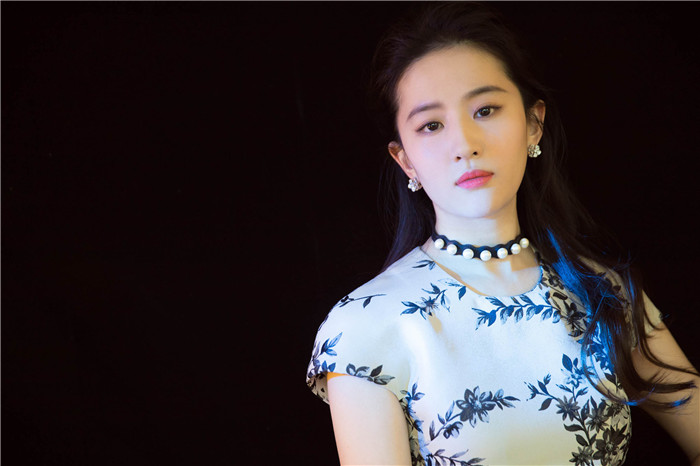 二代身份证照片图片_证代的职责和作用_证代需要什么证书