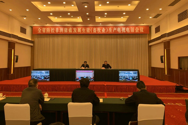 成都金虎视频会议_infomat成都会议_成都会议活动