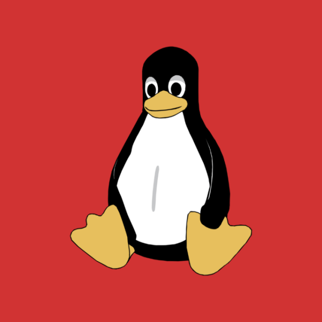 fedora dns_fedora dns_fedora dns