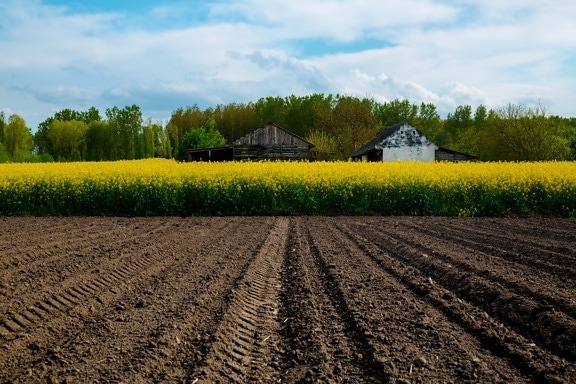 ecosystem services_ecosystem services_ecosystem services
