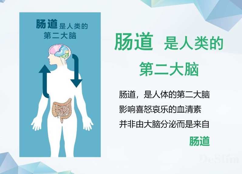 克罗恩病 木梳征图片_克罗恩病 木梳征图片_克罗恩病 木梳征图片