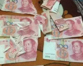 网友出门旅游，把二哈放父母家代养，二哈做的事让老爸发飙！