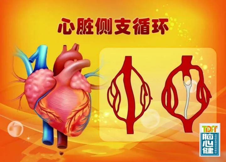 冠心病abcde治疗方案_冠心病治愈大概多少钱_冠心病 治疗