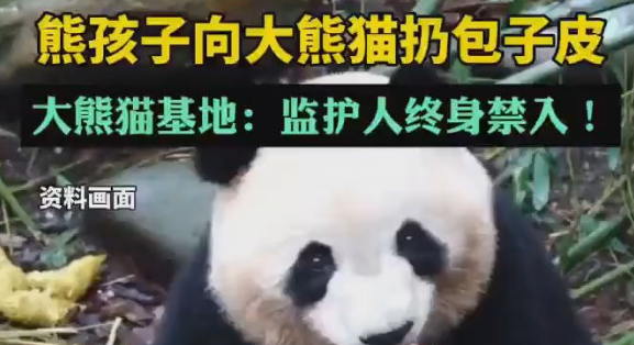 这6人被终身禁入成都大熊猫基地！！