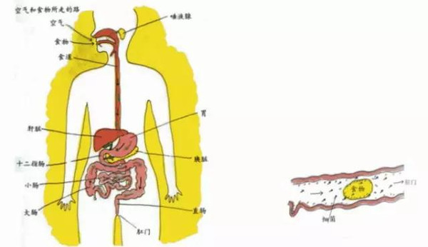 婴儿出生打嗝喝奶后吐奶_刚出生婴儿喝奶后打嗝_新生儿打嗝喝奶就好了