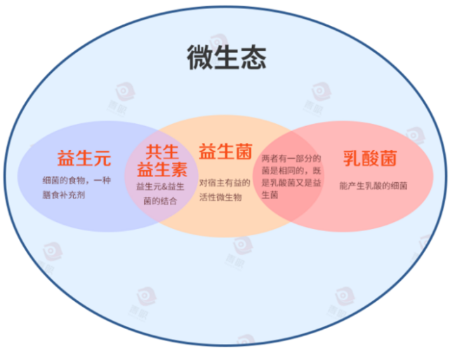 ecosystem是什么意思_意思是谁发现的_意思是什么