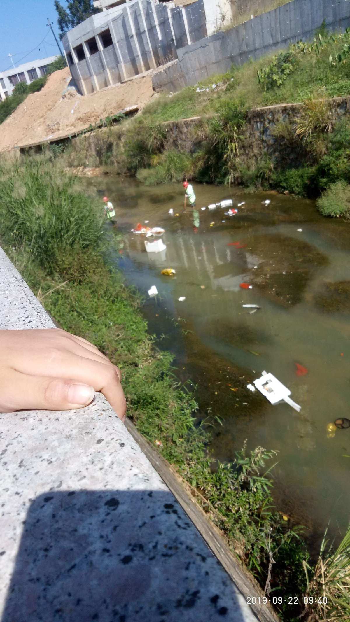ecosia搜索引擎_ecosia浏览器入口_ecos