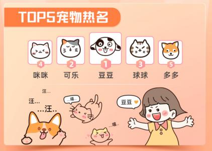 身份证查询系统带姓名_姓名查身份证号码查询系统_姓名身份证信息查询