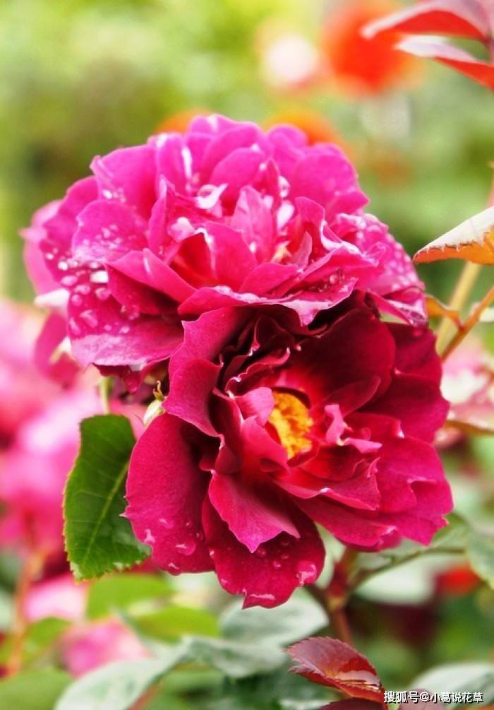 核对证姓名身份怎么填_核对身份证号码和真实姓名_身份证姓名核对