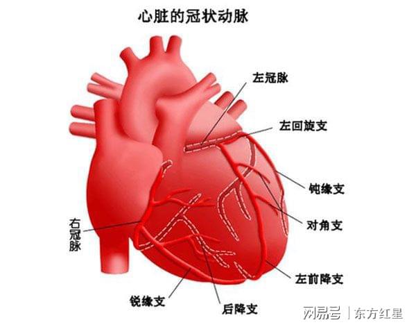 康复护理冠心病康复护理措施_冠心病康复护理_康复护理冠心病填空题