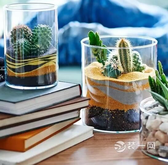 室内植物摆放效果图