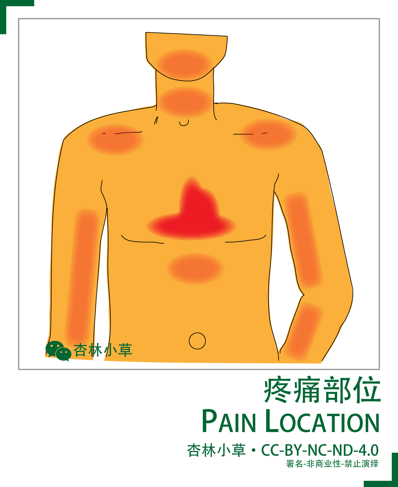 前胸后背疼起红色疙瘩_前胸后背疼 前胸还有红色小肿块_前胸后背红色包有刺痛感