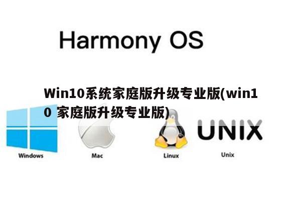 windows10家庭版升级_升级家庭版到专业版_windows10家庭版升级