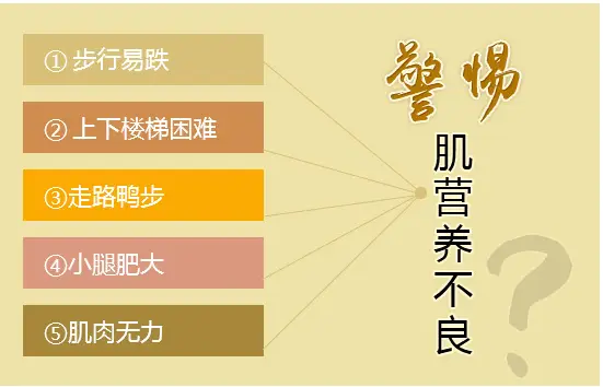 引起肛门失禁的原因_肛门病因失禁症状_肛门失禁病因