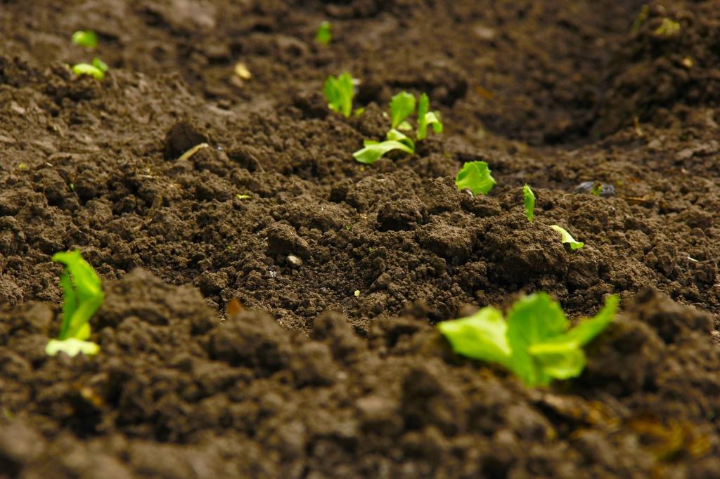 ecosystem services_ecosystem services_ecosystem services