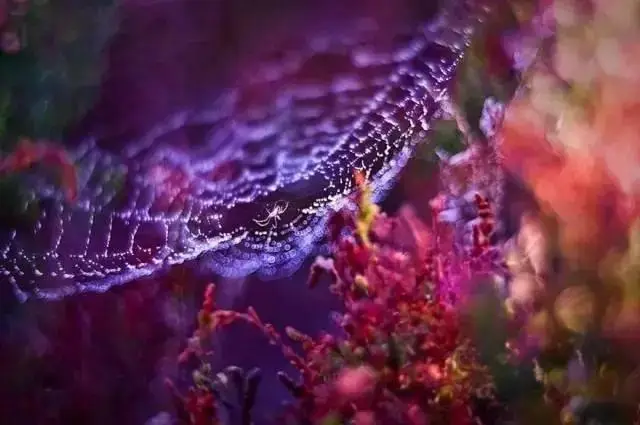 图片坐标查看器apk_图片坐标点查看器_坐标查询器app