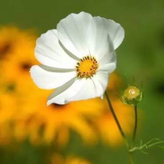 杭州浙程科技有限公司_浙江浙科这家公司怎么样_浙江科技股份