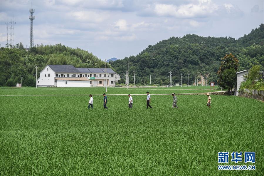 帝国cms小说阅读网站模板_帝国cms新建模板_帝国cms乡村政府党建网站模板