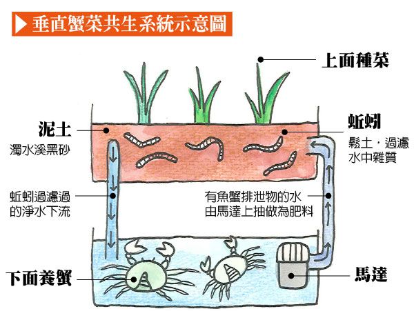 意思是什么_ecosystem是什么意思_意思是谁发现的
