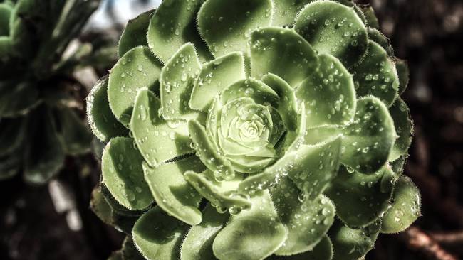 新生儿白肺怎么回事_新生儿白肺严重吗_新生儿白肺