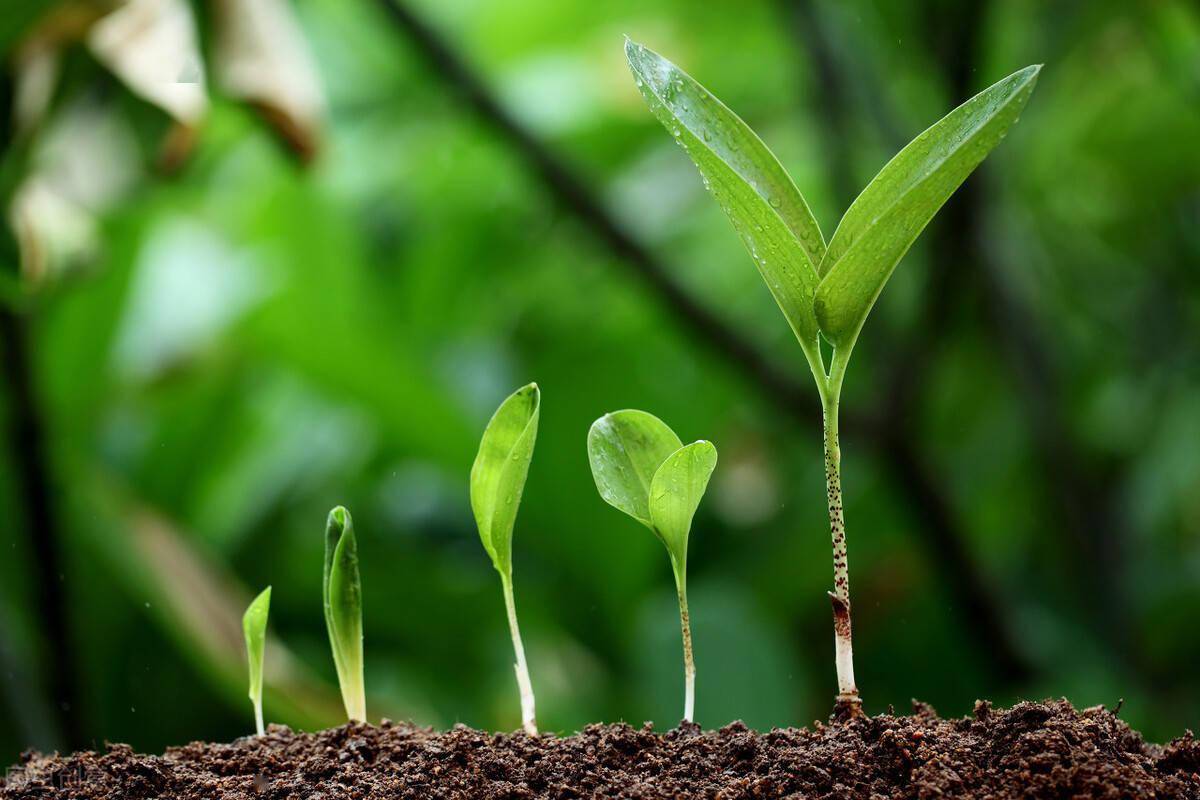 夜间路口监控照片大全_夜间路口监控照片_夜间路口监控照片图片