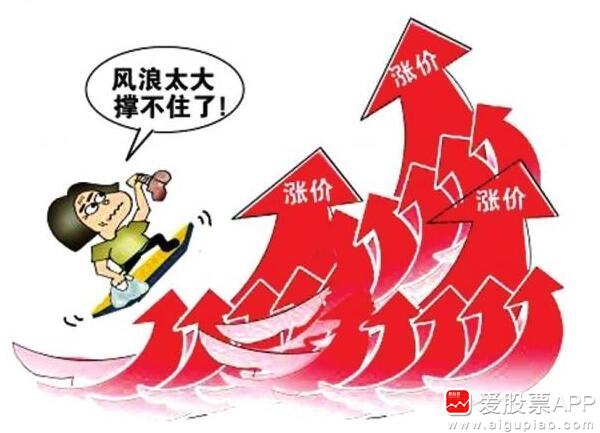 成品羊皮行情_羊皮行情预测_羊皮市场行情