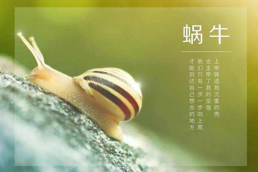 长寿病人哮喘有后遗症吗_有长寿的哮喘病人吗_哮喘能长寿吗