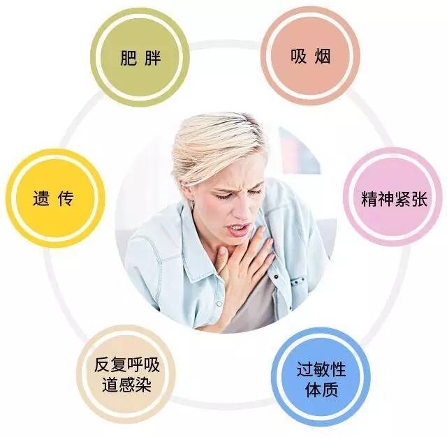 杨阳洋哮喘_杨阳洋哮喘视频_杨阳洋哮喘花絮