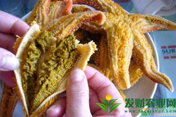 吃海星可以壮阳吗？海星的功效作用及食用方法