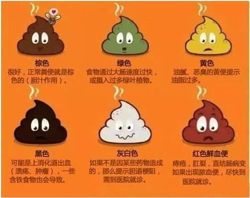 出血大便_出血后大便什么病_大便出血是怎么回事吗