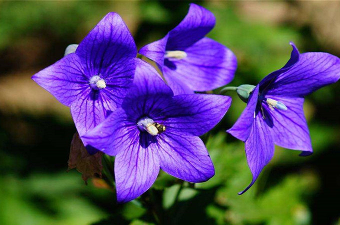 资阳大众网乐至站_资阳乐至县贴吧_资阳大众网乐至论坛