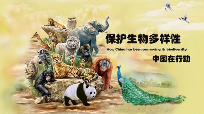 可数名词_ecosystem可数不可数_可数名词和不可数名词