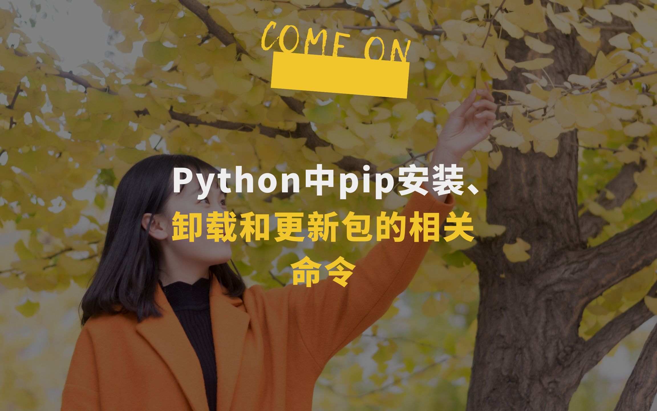 fedora apt get_fedora apt get_fedora apt get