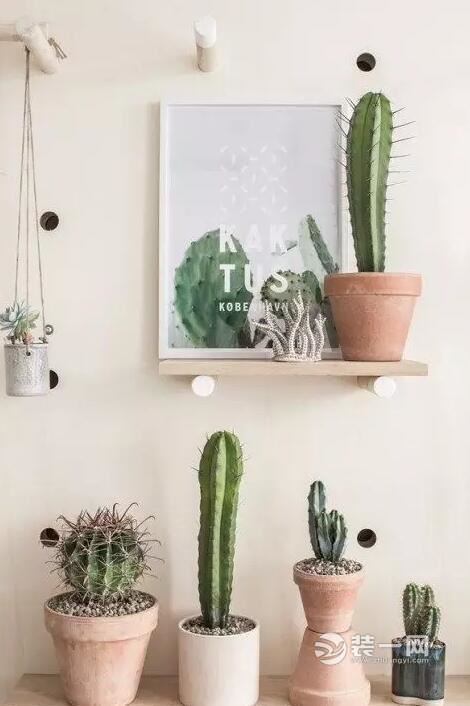 室内植物摆放效果图
