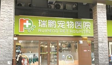 宠物医院被投诉扰民，未环评就先开店？