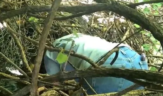 流浪狗左腿受伤仍四处觅食，女子偷偷跟随几天，它却藏着13只小狗