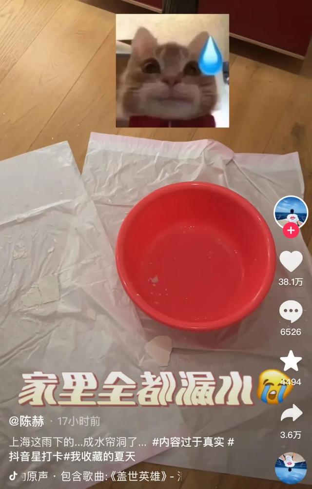 上海暴雨多位明星家中漏水 陈赫家里漏成水帘洞