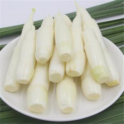 茭白