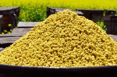 蜂花粉