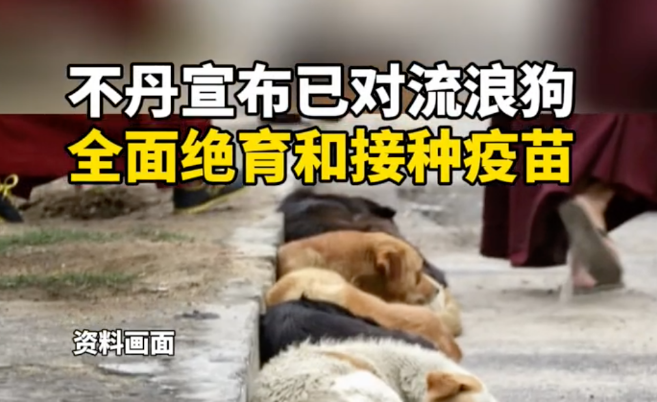 这个人口只有76万的国家，将全国15万只流浪狗都做了绝育打了疫苗